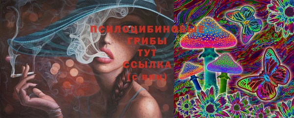 эйфоретик Медвежьегорск