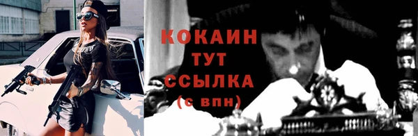 крисы Михайловка
