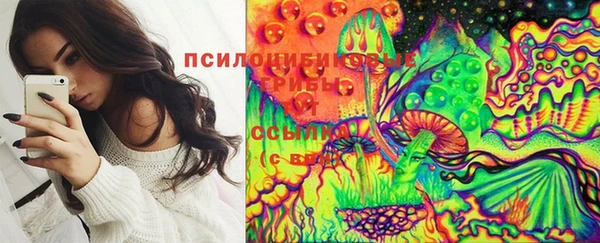 ешки Мегион