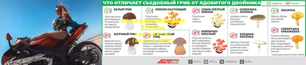 амф Михайловск