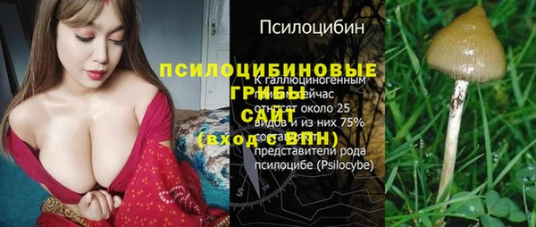 амф Михайловск