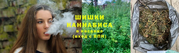 гидра Пестово