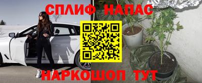 круглые Гатчина