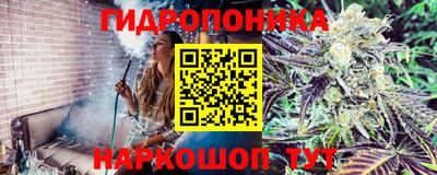 метамфетамин Гай