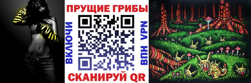 Галлюциногенные грибы Cubensis  Череповец 