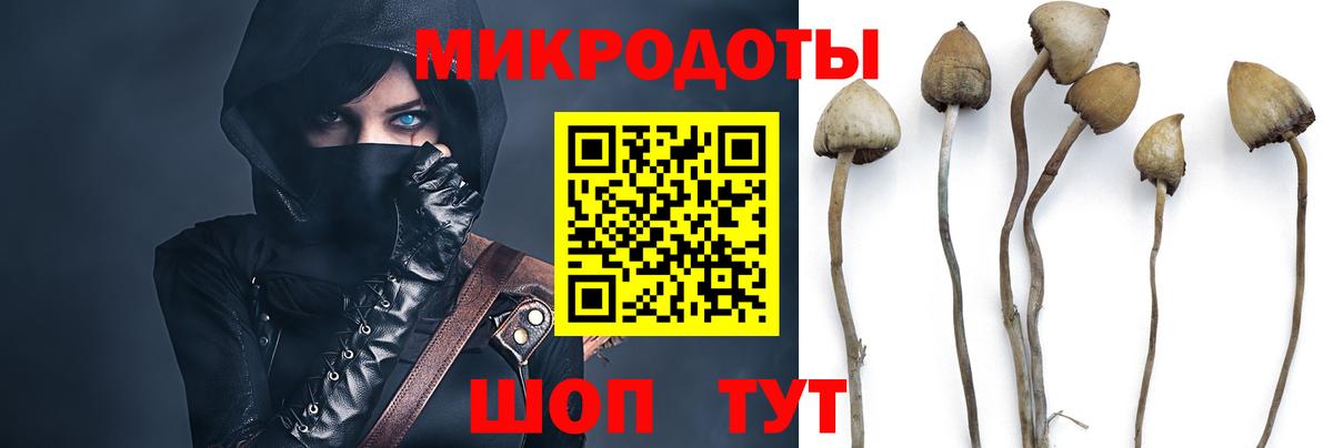 Череповец  Псилоцибиновые грибы мицелий  даркнет сайт  Вход с VPN 